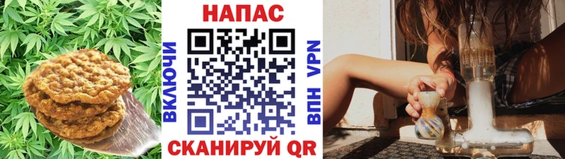 маркетплейс официальный сайт  OMG ссылки  Мураши  Еда ТГК конопля 