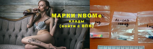 хмурый Алзамай