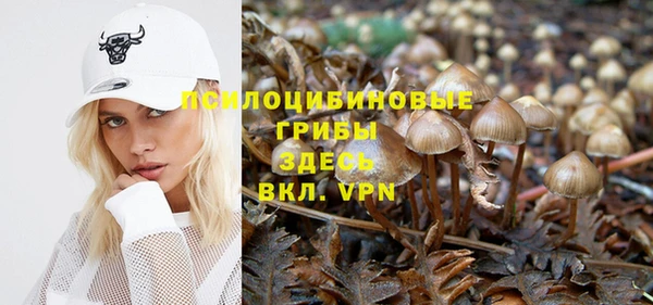 сатива Осташков