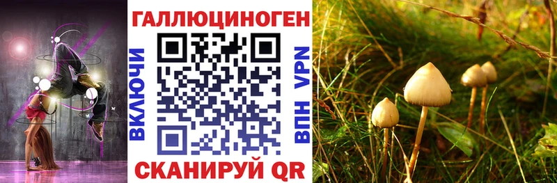 Псилоцибиновые грибы ЛСД  Мураши 
